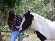 Terapia asistida con animales se consolida en Oriente