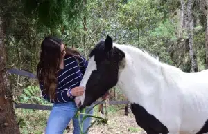 Terapia asistida con animales se consolida en Oriente