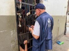Defensoría advierte aumento de vulneración de derechos humanos en cárceles