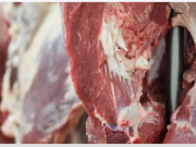 Filipinas habilita 11 plantas colombianas para exportar carne de res y cerdo