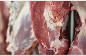 Filipinas habilita 11 plantas colombianas para exportar carne de res y cerdo