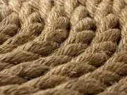El fique, una fibra natural para cuidar el medio ambiente