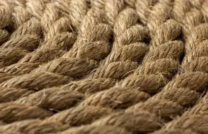 El fique, una fibra natural para cuidar el medio ambiente