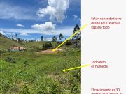Denuncian que están tapando un humedal en vereda de Rionegro