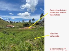 Denuncian que están tapando un humedal en vereda de Rionegro