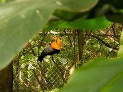 El Parque de la Conservación, un lugar para visitar en estas vacaciones