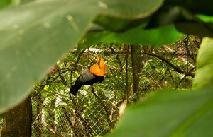 El Parque de la Conservación, un lugar para visitar en estas vacaciones
