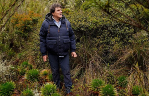 Más de 190 guardianes vigilan los páramos que dan agua a Colombia