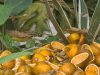 Ciclovía de la avenida El Poblado deja un sabor agridulce