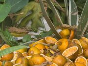 Ciclovía de la avenida El Poblado deja un sabor agridulce