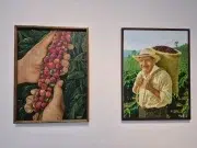 Artistas sin título profesional pueden ganar hasta $2,5 millones