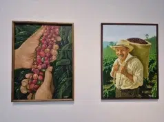 Artistas sin título profesional pueden ganar hasta $2,5 millones