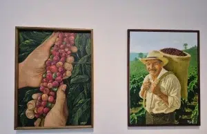 Artistas sin título profesional pueden ganar hasta $2,5 millones