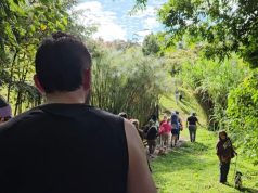 Arranca hoy la Semana Ambiental en Rionegro