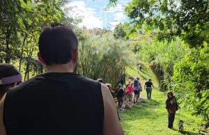 Arranca hoy la Semana Ambiental en Rionegro