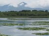 La Unesco designa 14 nuevas reservas de la biosfera