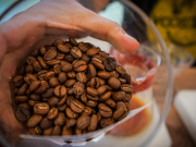 Por cinco meses prorrogan contrato de manejo del Fondo Nacional del Café