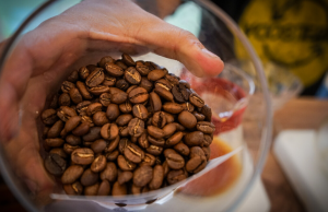 Por cinco meses prorrogan contrato de manejo del Fondo Nacional del Café