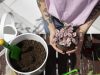 Festival Ambiental en El Chispero este sábado