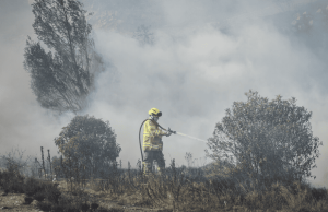 20 municipios de Cundinamarca sufrirían más incendios y escasez de agua