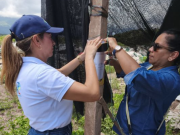 Por presunto daño ambiental en Cundinamarca indagan a proyecto solar