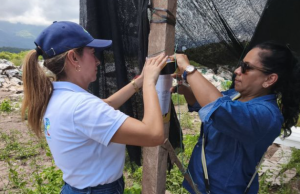 Por presunto daño ambiental en Cundinamarca indagan a proyecto solar