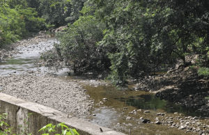 Suspenden el agua en zonas de Buenaventura tras turbiedad en río