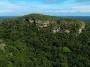 Alcanzar deforestación cero en 2036 propuso Guaviare