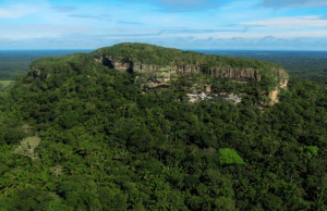 Alcanzar deforestación cero en 2036 propuso Guaviare