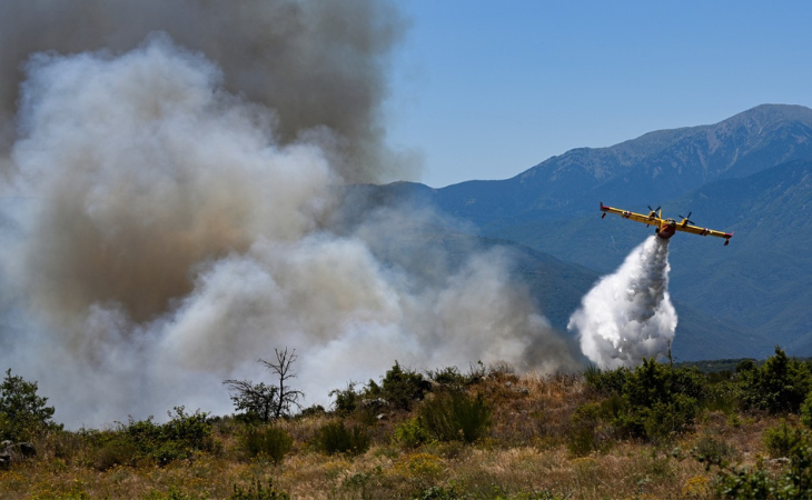 Los incendios queman bosques en Europa atizados por el calor extremo