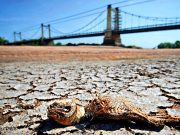 Barranquilla y Cali, entre las ciudades donde más horas de sueño se pierden por el calor, según estudio