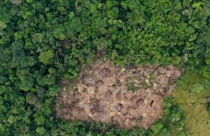 Primicia: casi 9.000 hectáreas fueron deforestadas tan solo en tres parques nacionales amazónicos durante 2025, el tamaño de 12.000 canchas de fútbol