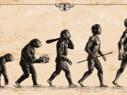 ¿Cómo serán los seres humanos del futuro? Científicos explican cómo seguirá evolucionando la especie