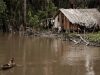 El cambio climático pone en riesgo la memoria ancestral de la Amazonia: hasta un tercio de las plantas usadas por pueblos indígenas podría desaparecer