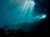 El mar se calienta a un ritmo sin precedentes: científicos advierten riesgos irreversibles para la pesca, la biodiversidad y la seguridad alimentaria