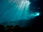 El mar se calienta a un ritmo sin precedentes: científicos advierten riesgos irreversibles para la pesca, la biodiversidad y la seguridad alimentaria