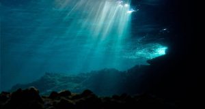 El mar se calienta a un ritmo sin precedentes: científicos advierten riesgos irreversibles para la pesca, la biodiversidad y la seguridad alimentaria