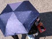 Francia registra su tercera ola de calor más larga desde 1947: duró 16 días