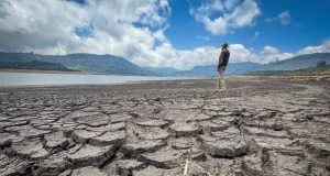 Ideam advierte que el fenómeno de El Niño alcanzaría una intensidad ‘muy fuerte’ entre octubre y diciembre: sería uno de los más intensos desde 1950