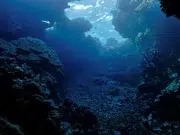 Océanos llevan tres años sin enfriarse: la preocupante alerta que envían los científicos sobre las temperaturas del mar que no paran de romper récords