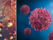 Nuevo avance contra el cáncer: científicos mejoran fármacos para que ataquen más de una zona del tumor al mismo tiempo