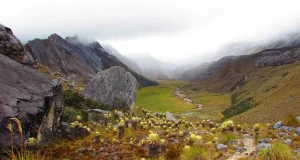 Captan en imágenes cómo una mina ilegal de oro destruyó parte del páramo de Santurbán