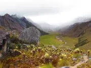 No solo es Santurbán: los otros páramos donde la minería ilegal sigue arrasando con los ecosistemas y amenazando el agua de Colombia