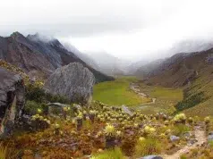 No solo es Santurbán: los otros páramos donde la minería ilegal sigue arrasando con los ecosistemas y amenazando el agua de Colombia