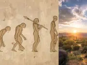 Violencia, cuidado de enfermos y comportamientos funerarios: lo que revelan los nuevos descubrimientos sobre los primeros Homo sapiens
