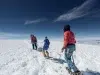 Pemba José, el robot humanoide que abre la ruta a estudios en climas extremos desde la cima más alta de Ecuador y el punto más cercano al sol