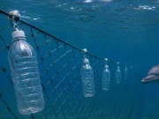 Botellas de plástico recicladas logran un avance histórico: reducen hasta un 88% la muerte de delfines en redes de pesca