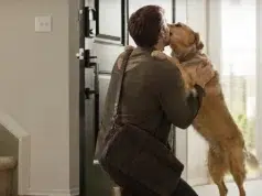 La efusividad de un perro al recibir a su dueño puede ser una señal de ansiedad, no de felicidad, según expertos.