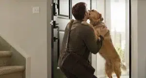La efusividad de un perro al recibir a su dueño puede ser una señal de ansiedad, no de felicidad, según expertos.