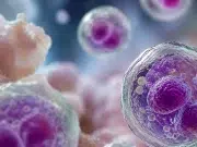 Ciclosporiasis: qué es, cómo se transmite y cuáles son los síntomas de la infección que investigan las autoridades sanitarias en Estados Unidos